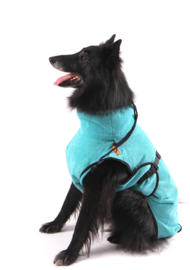 SuperFurDogs Classic Chillcoat - Aqua