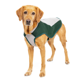Ruff & Tumble Dog Cooling coat