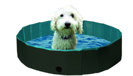 Cooling Doggy Pool