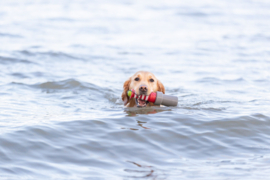 Trixie Aqua Toy Vuurtoren Aan Koord