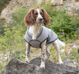 Ruff & Tumble Dog Cooling coat