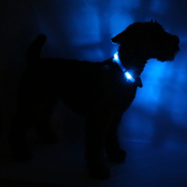 LEUCHTIE Easy Charge - Blauw