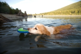 Chuckit! Amphibious Boomerang