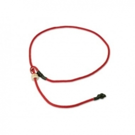 Short leash 65 cm rood