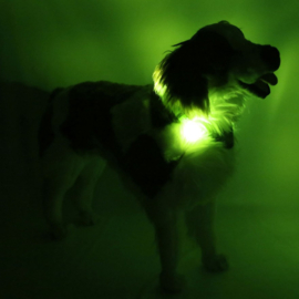 LEUCHTIE Easy Charge - Neon Groen