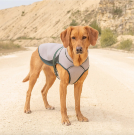 Ruff & Tumble Dog Cooling coat