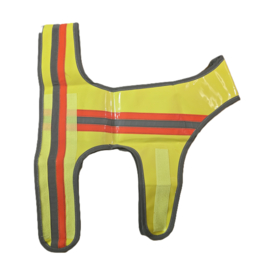 Proloo Reflectorvest Zilveren Afwerking