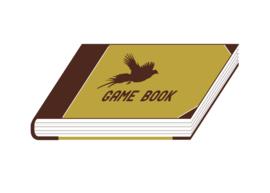 Game book