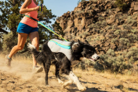 Ruffwear Swamp Cooler   ***nieuw model***