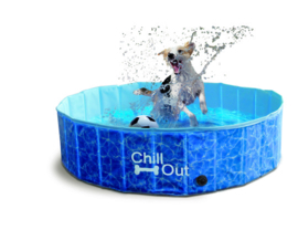 Chill Out Dog Pool