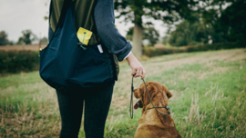 Sporting Saint Training Vest - Olive & Navy