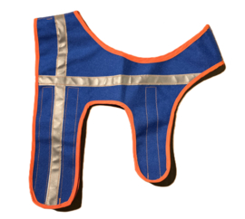 Veiligheidsvest HOLSTEIN blauw