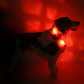 LEUCHTIE Easy Charge - Rood