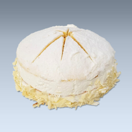 Sneeuwster