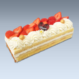 Aardbeienstam
