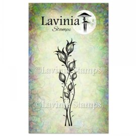 LAV467 Star Blossom Stamp