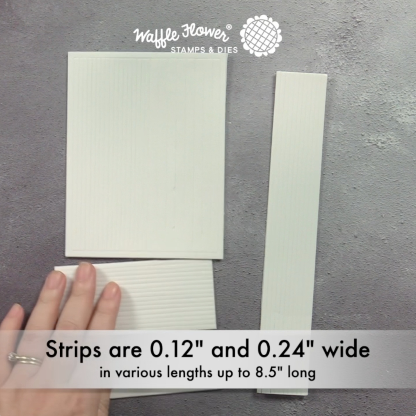 Foam Strips - 1/16" thick