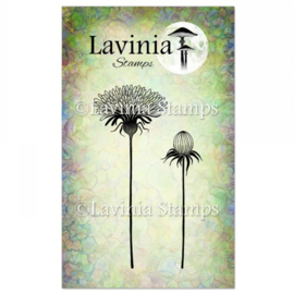 LAV745 Open Dandelion Stamp