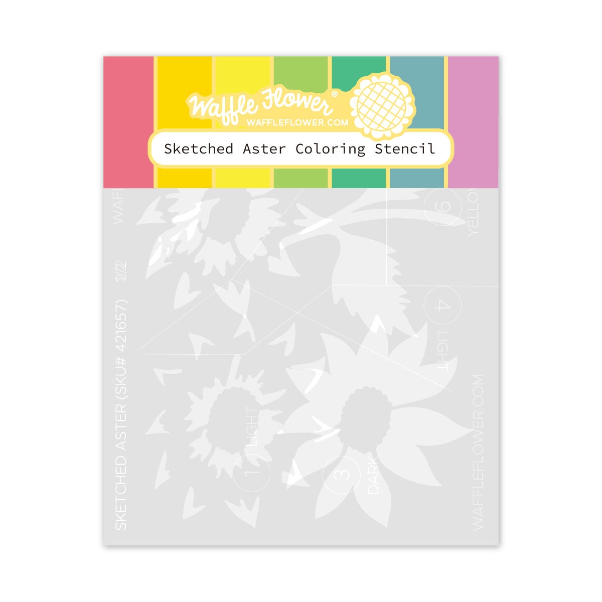 Sketched Aster Coloring Stencil