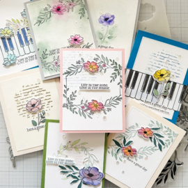 Life is The Song Bundle