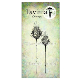 LAV545 Star Burst Set Stamp
