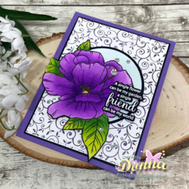 Flowering Friendship Bundle
