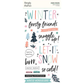 Winter Wonder Foam Stickers