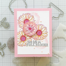 Life in Full Bloom Stamps