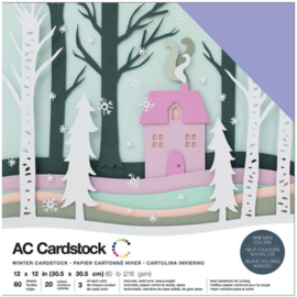 Winter Variety Cardstock Pack 12"X12"