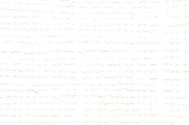 Mono Canvas White