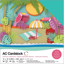 Variety Cardstock Pack Tropical 12"X12"