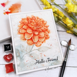 Time to Bloom Stamps