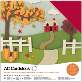 Variety Cardstock Pack Autumn 12"X12"