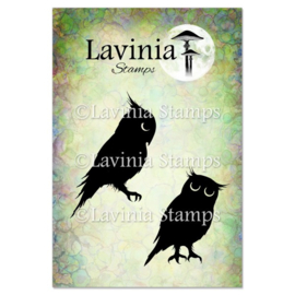 LAV641 Echo and Drew Stamp