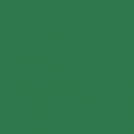 Classic Canvas Green