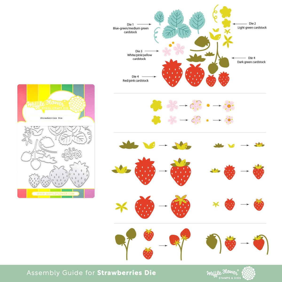 Strawberries Die