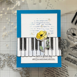 Life is The Song Bundle