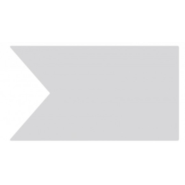 Large punch 2 point flag