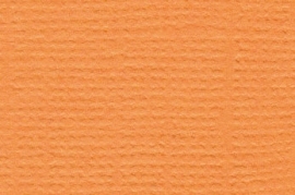 Mono Canvas Apricot