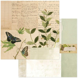 Curators Meadow Field Notes