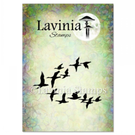 LAV247 Ducks Stamp