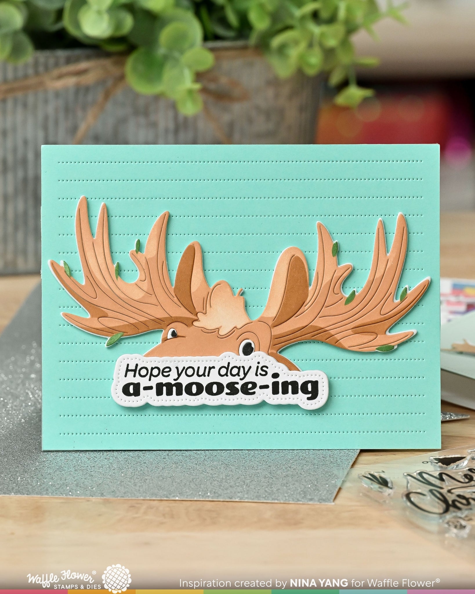 A-moose-ing Sentiments Combo