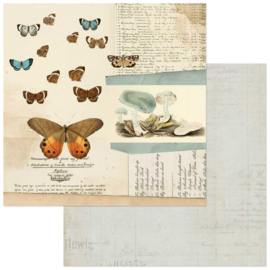 Curators Meadow Papillon