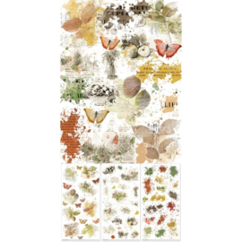 Vintage Orchard Blendable Rub-On Transfer Set