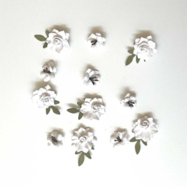 Florets Paper Flowers Salt