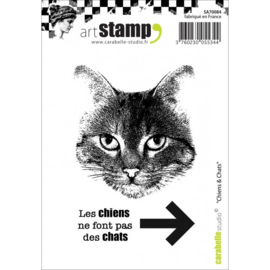 Chiens et chats