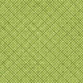 Patterned single-sided l.green plaid