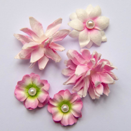 Flower Mini Series 01 Blush