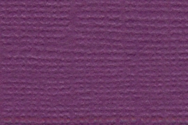 Mono Canvas Velvet