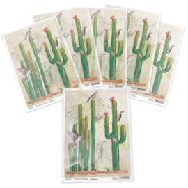 Sonora Saguaros Rice Paper A4